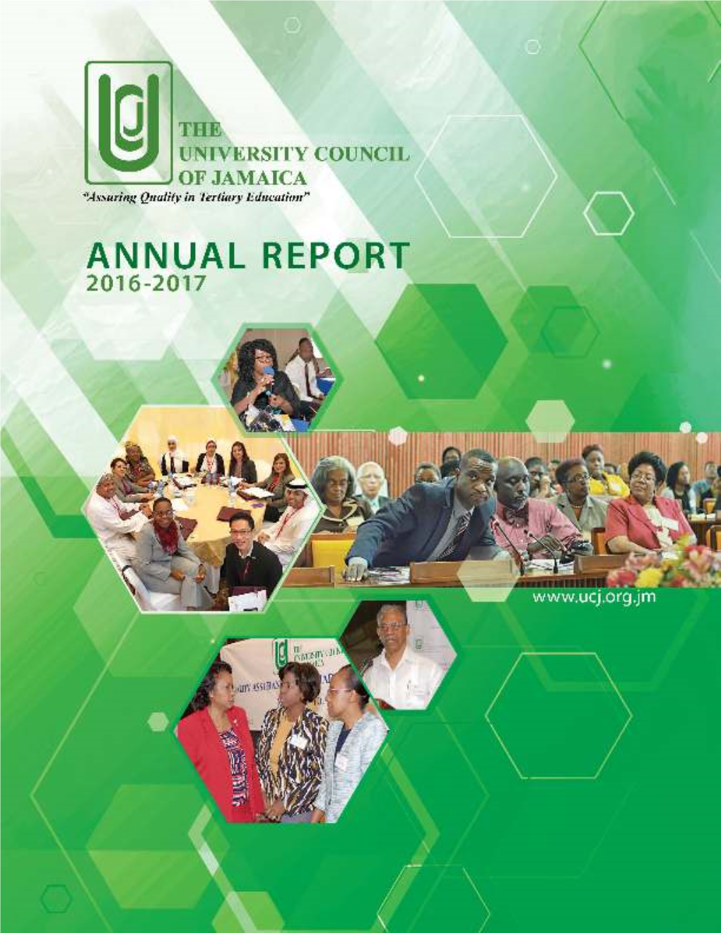 UCJ Annual Report 2017