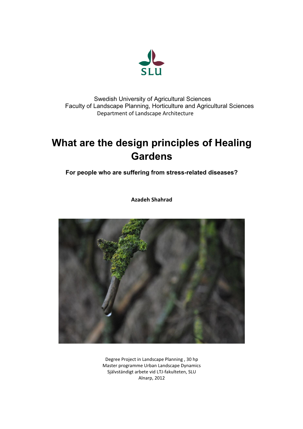 What Are the Design Principles of Healing Gardens