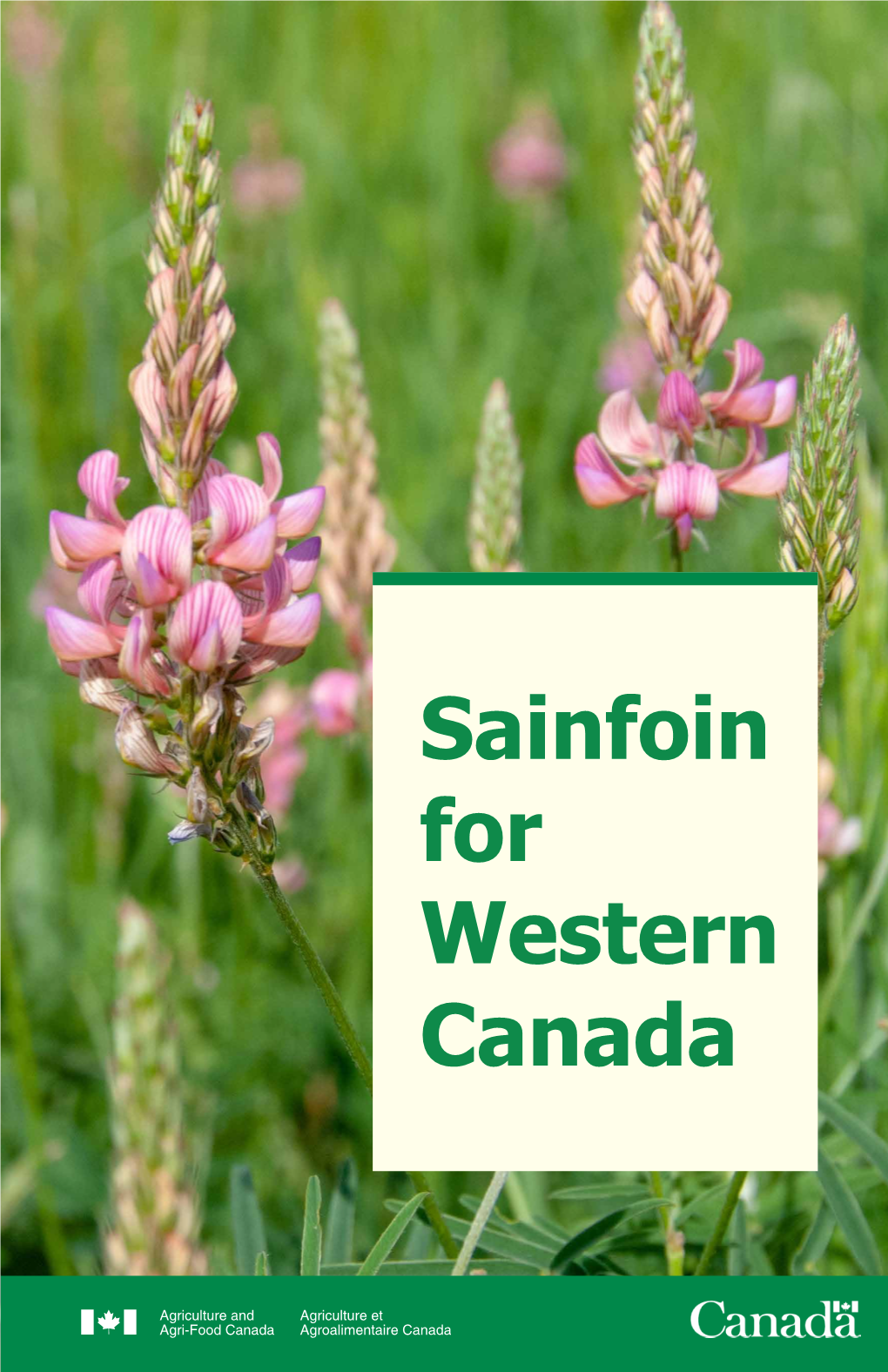 Sainfoin for Western Canada Sainfoin for Western Canada