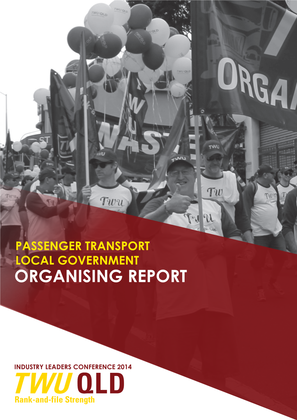 Passenger Transport Local Government Organising Report