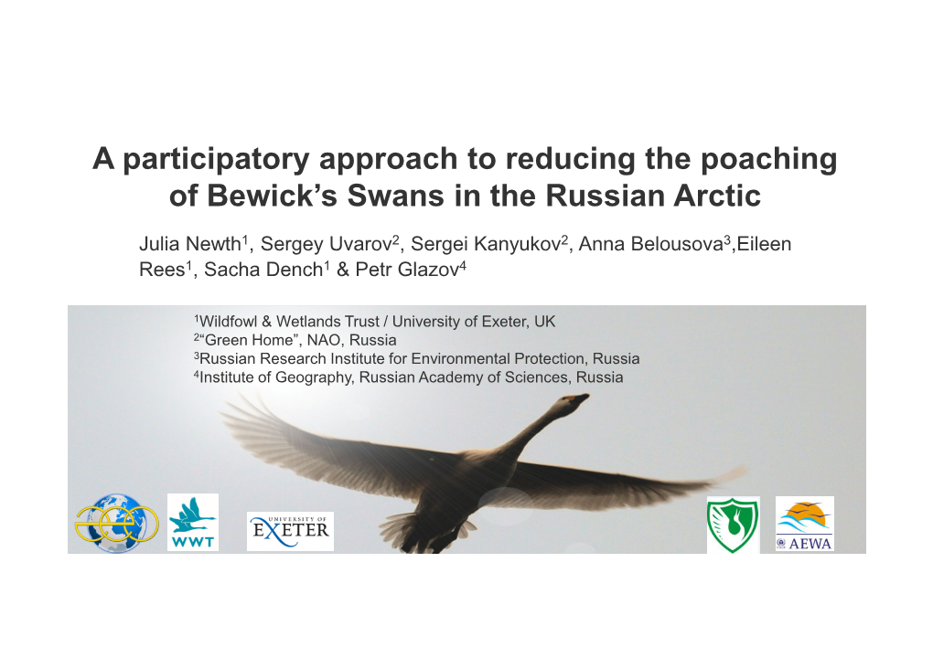 A Participatory Approach to Reducing the Poaching of Bewick's Swans In