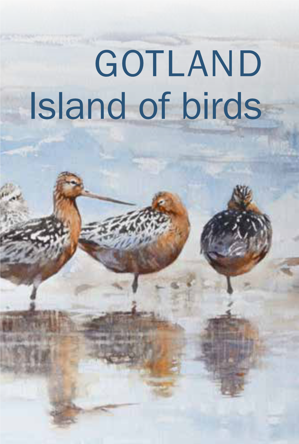 Island of Birds White-Tailed Eagle Cover: Bar-Tailed Godwits in the Bleak Winter Light, a White-Tailed Eagle on a Rock by the Sea