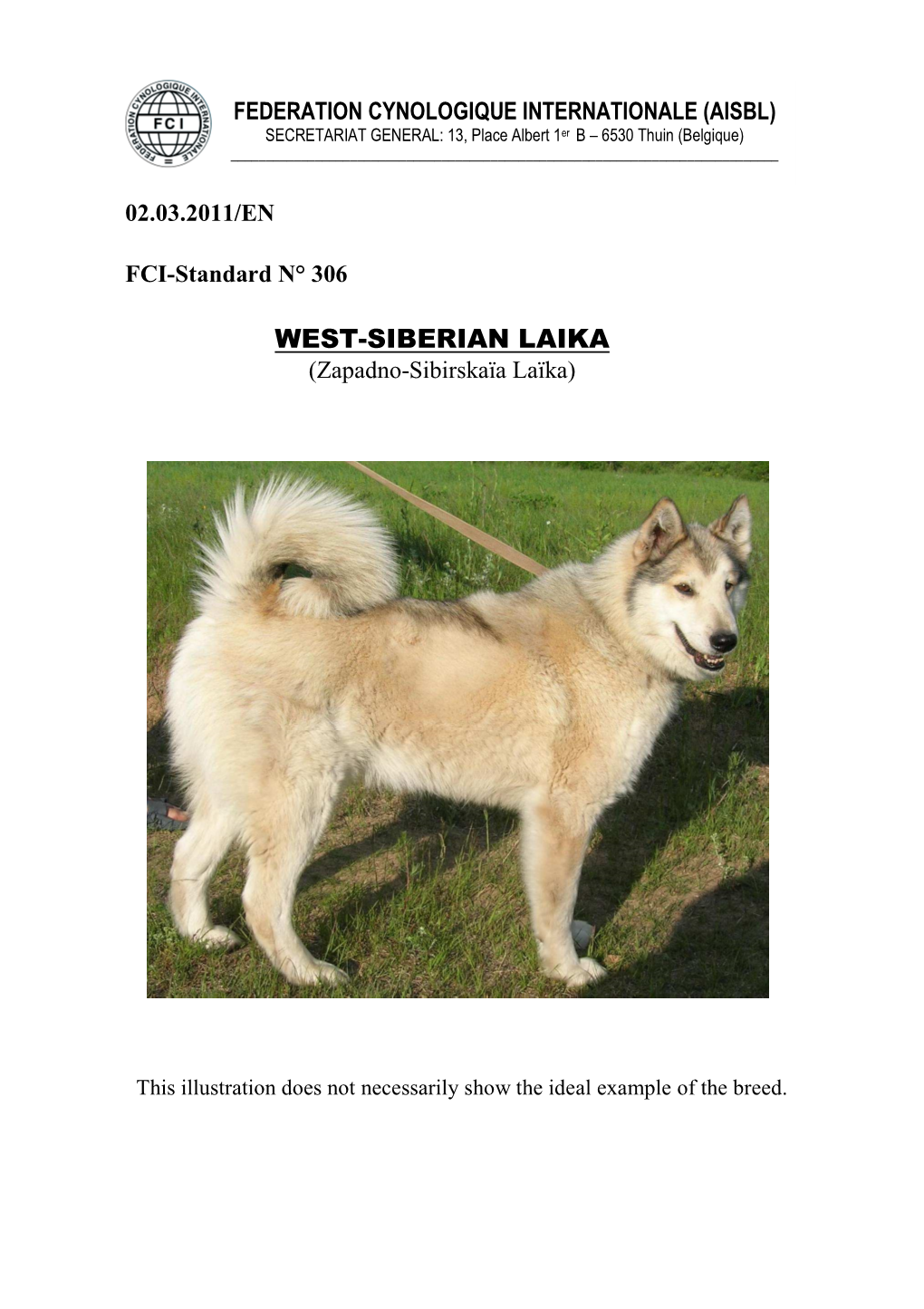 WEST-SIBERIAN LAIKA (Zapadno-Sibirskaïa Laïka)