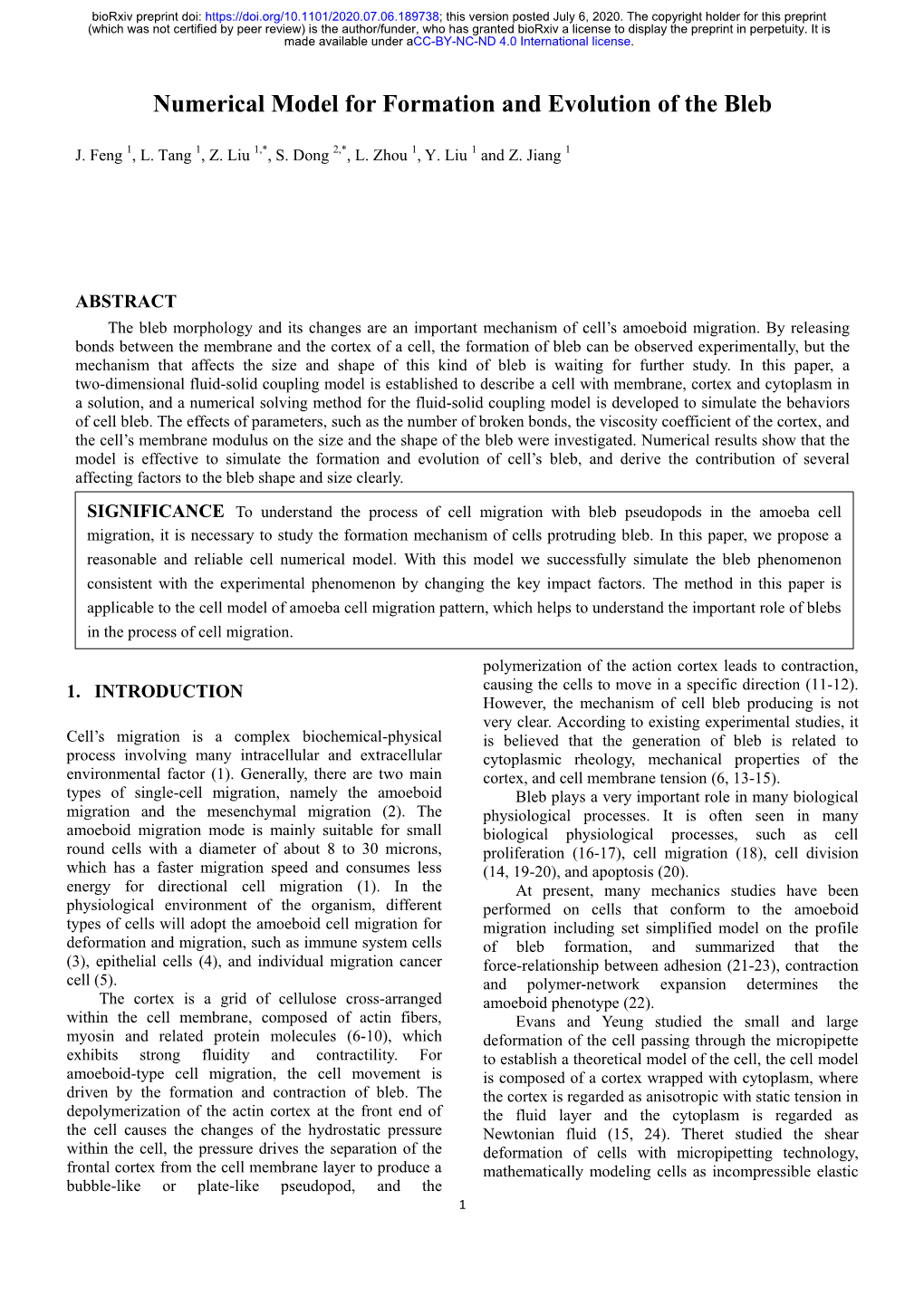 Numerical Model for Formation and Evolution of the Bleb