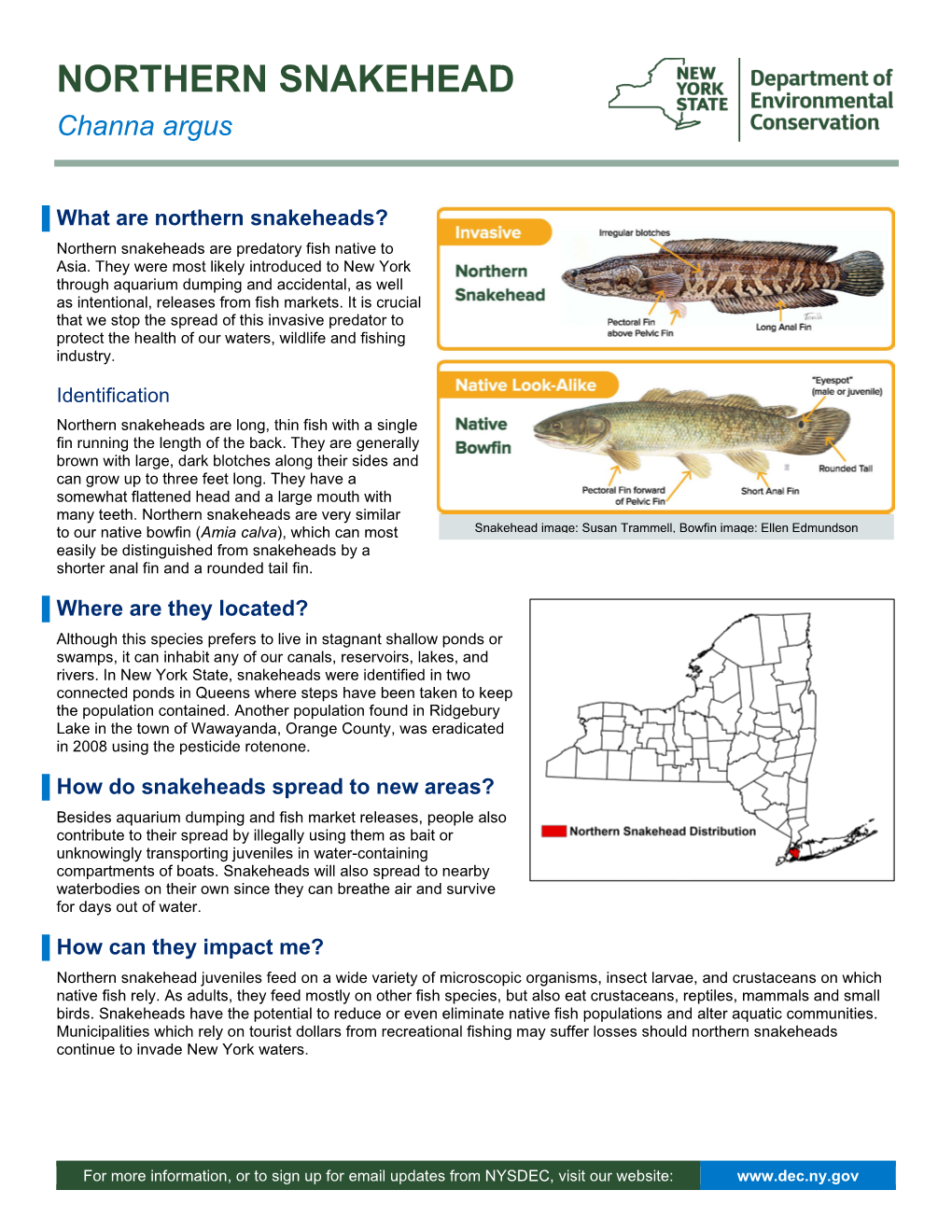 Northern Snakehead Fact Sheet (PDF)