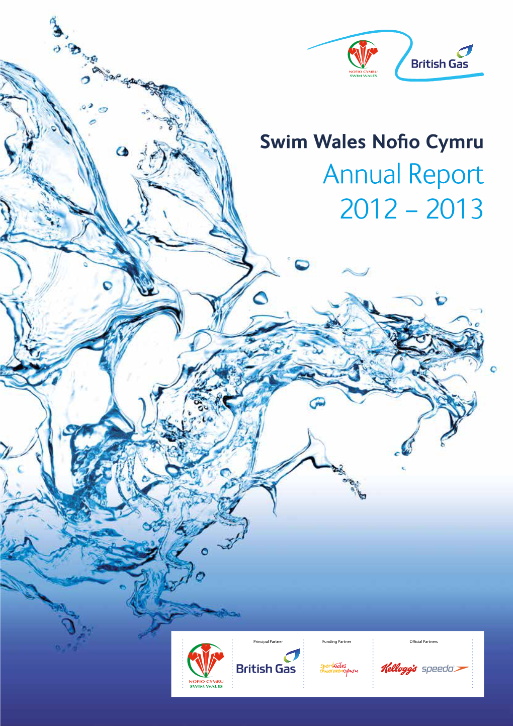 Annual Report 2012 - 2013