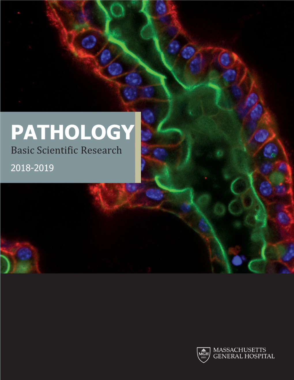 Pathology Basic Science Research Brochure
