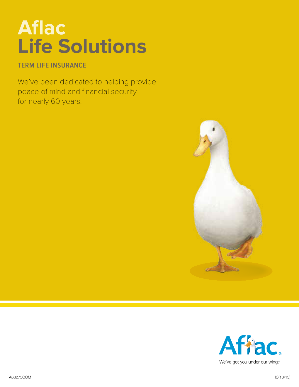 Aflac Life Solutions TERM LIFE INSURANCE