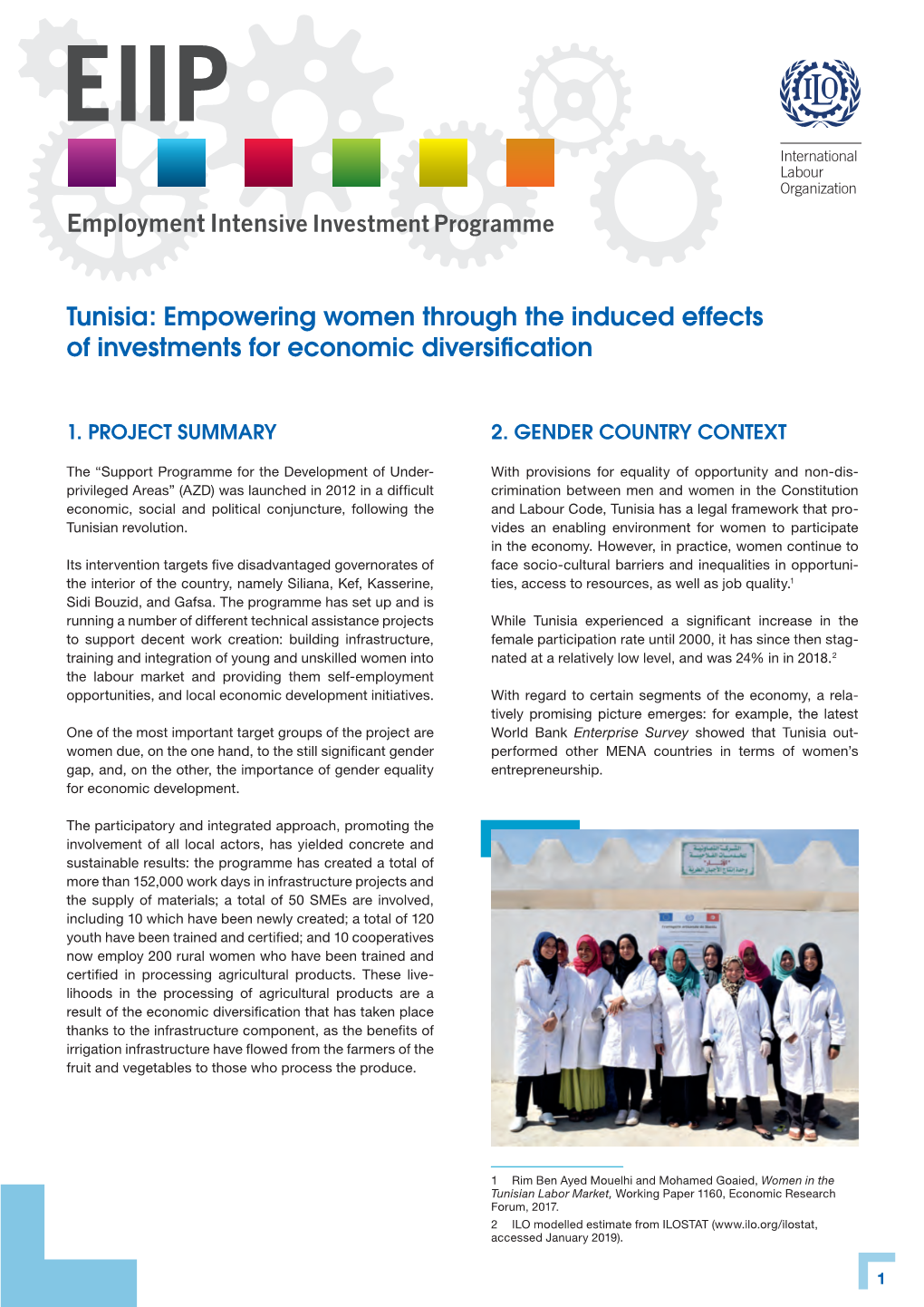 Tunisia: Empowering Women Through the Induced Effects of Investments for Economic Diversification