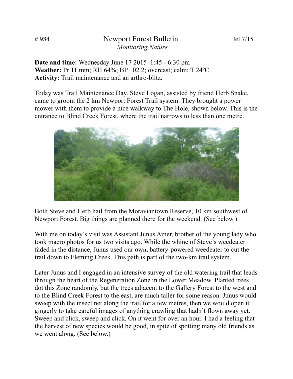 Newport Forest Bulletin