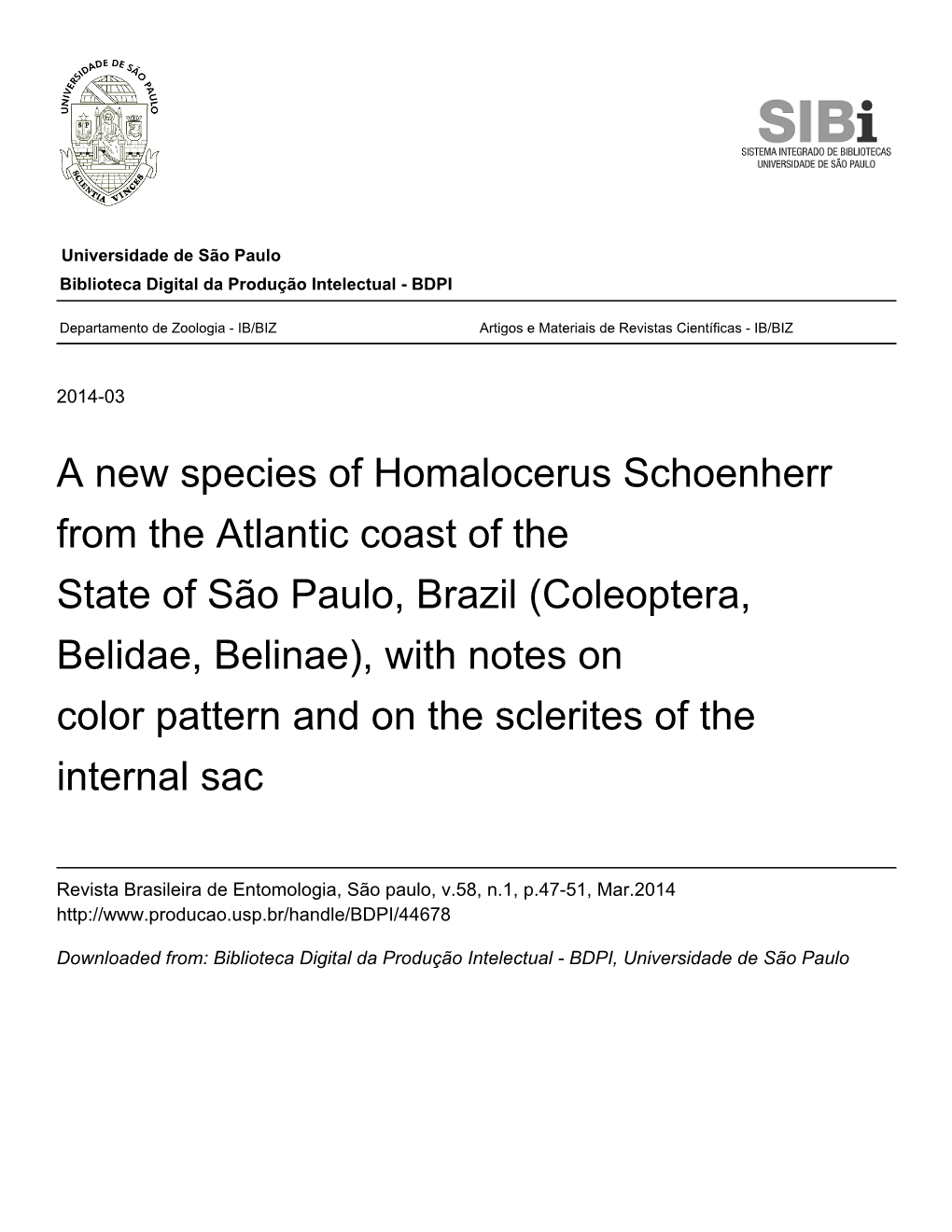 A New Species of Homalocerus Schoenherr from the Atlantic Coast Of