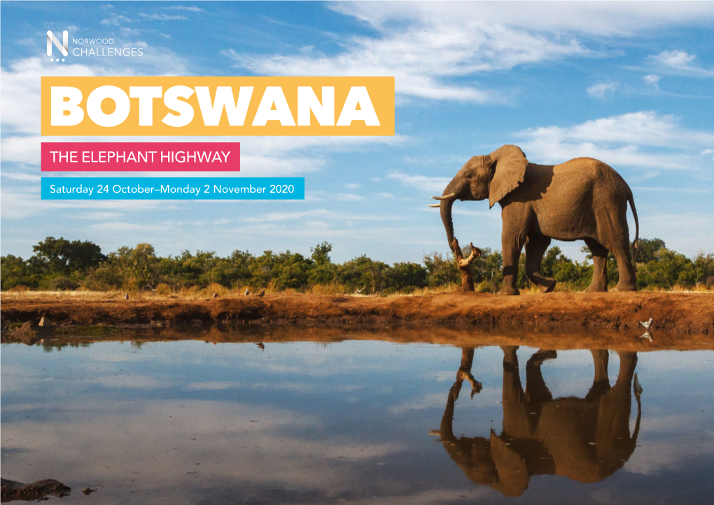 Botswana the Elephant Highway