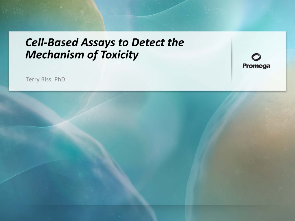 Cell-Based Assays to Detect the Mechanism of Toxicity