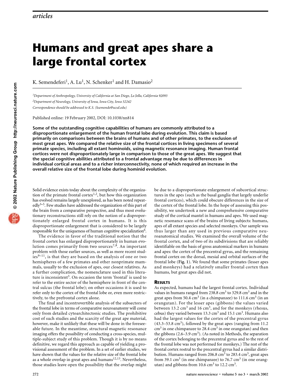 Humans and Great Apes Share a Large Frontal Cortex