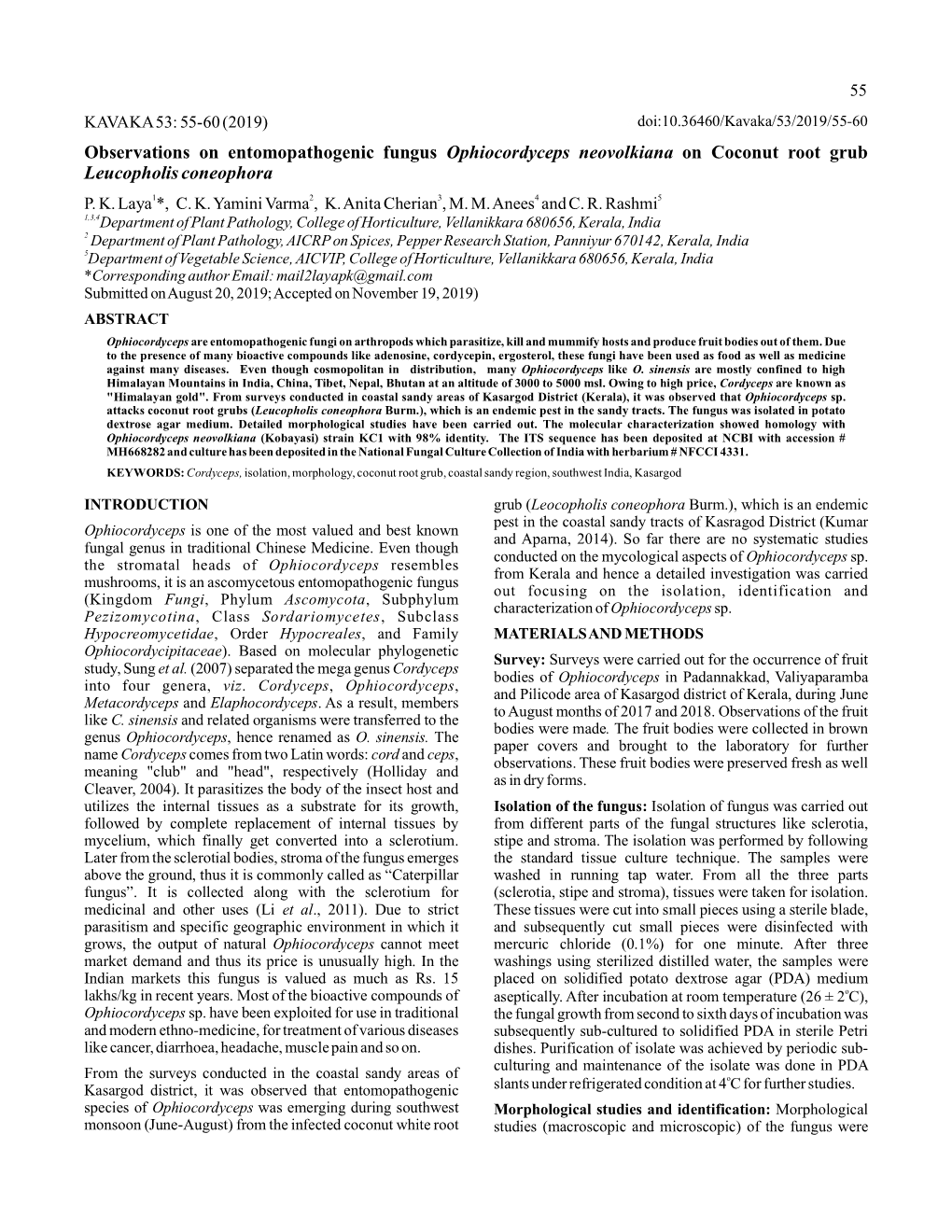 Observations on Entomopathogenic Fungus on Coconut Root Grub