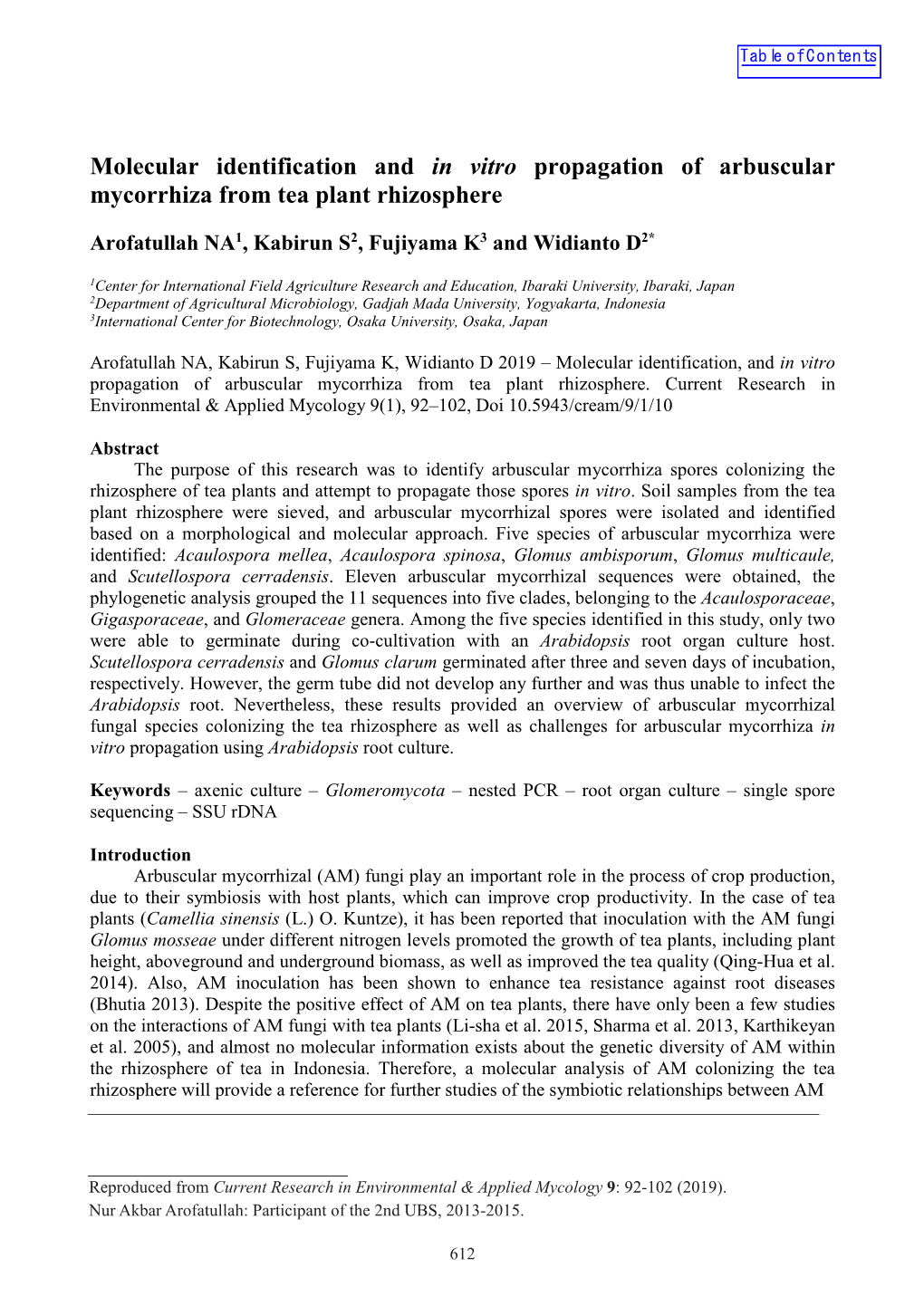 Molecular Identification and in Vitro Propagation of Arbuscular Mycorrhiza from Tea Plant Rhizosphere