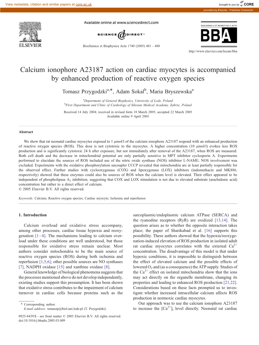 Calcium Ionophore A23187 Action on Cardiac Myocytes Is Accompanied by Enhanced Production of Reactive Oxygen Species