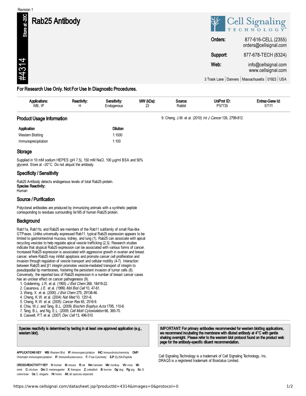 Rab25 Antibody A