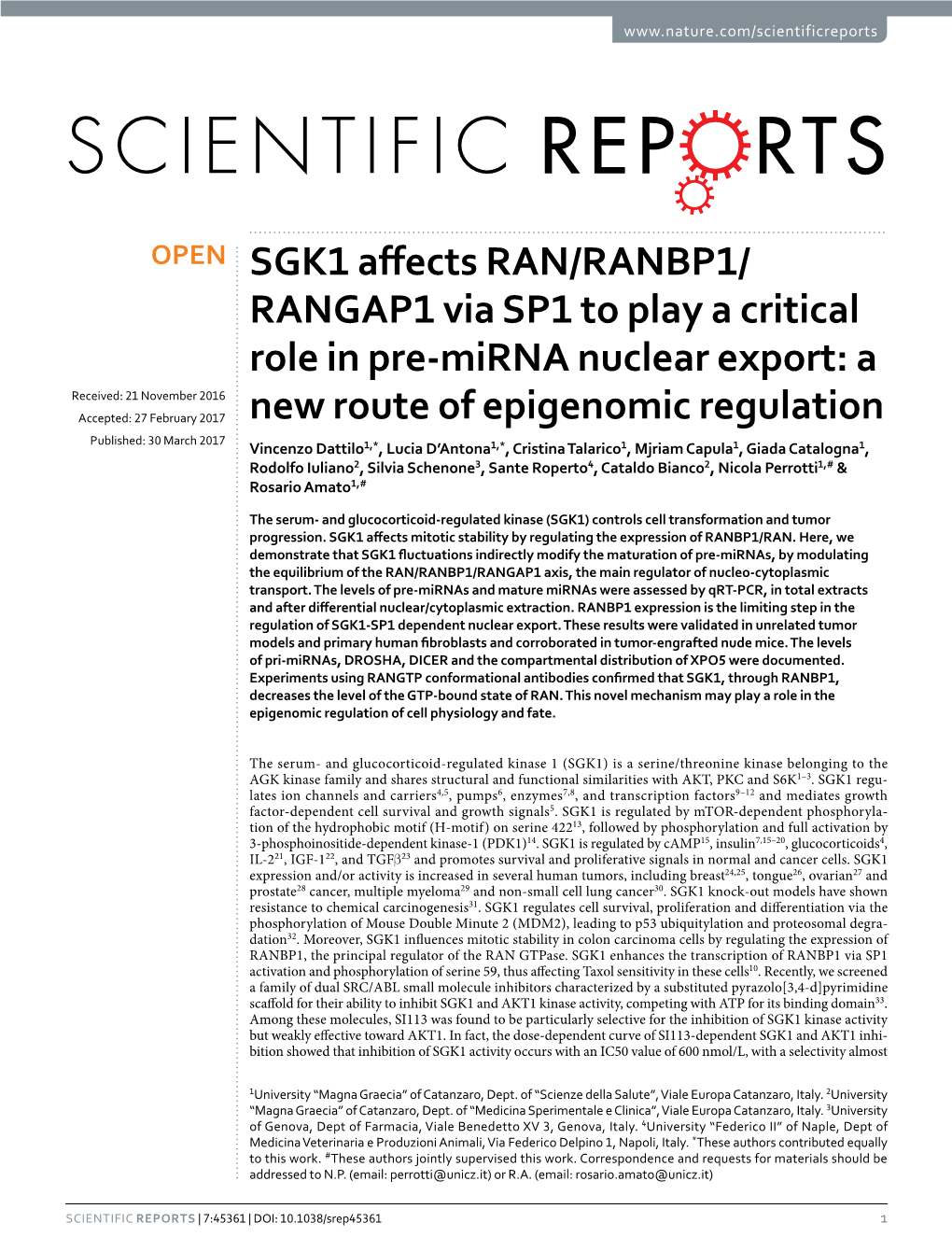 SGK1 Affects RAN/RANBP1/RANGAP1 Via SP1 to Play a Critical Role in Pre-Mirna Nuclear Export: a New Route of Epigenomic Regulation