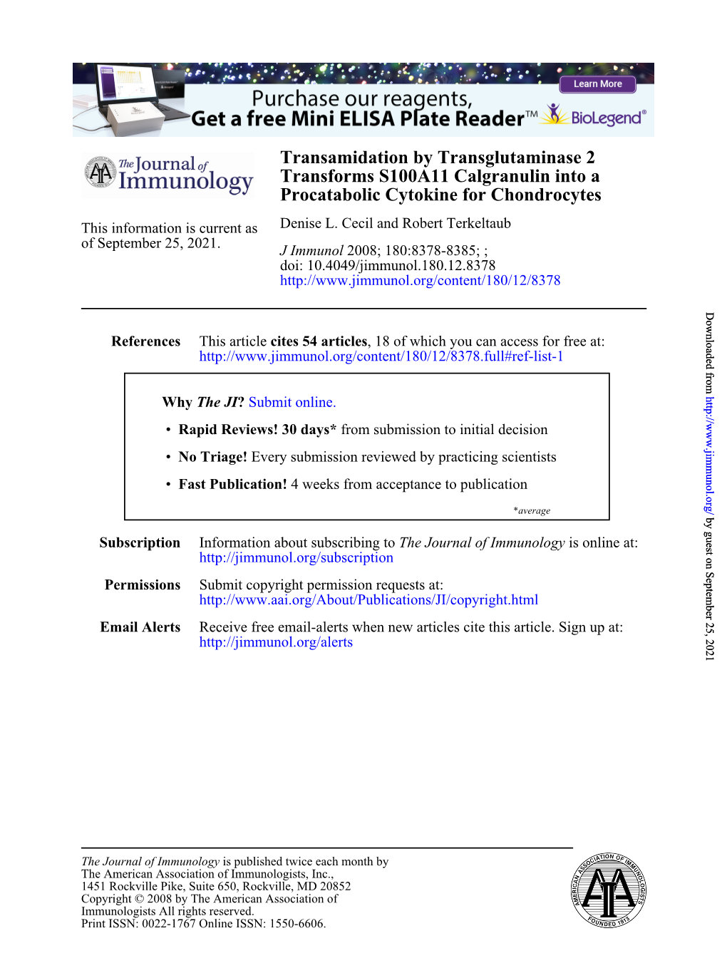 Procatabolic Cytokine for Chondrocytes Transforms S100A11