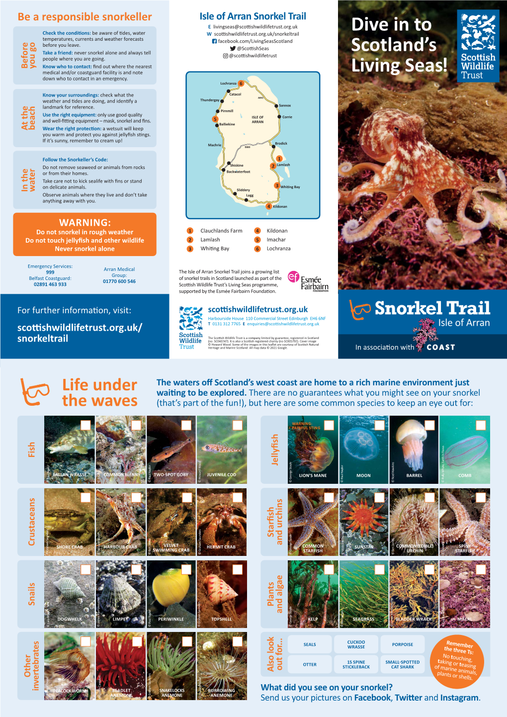 Isle of Arran Snorkel Trail