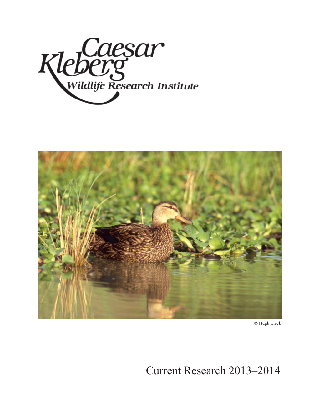 Current Research 2013–2014 This Year’S Cover Features a Photograph of a Mottled Duck