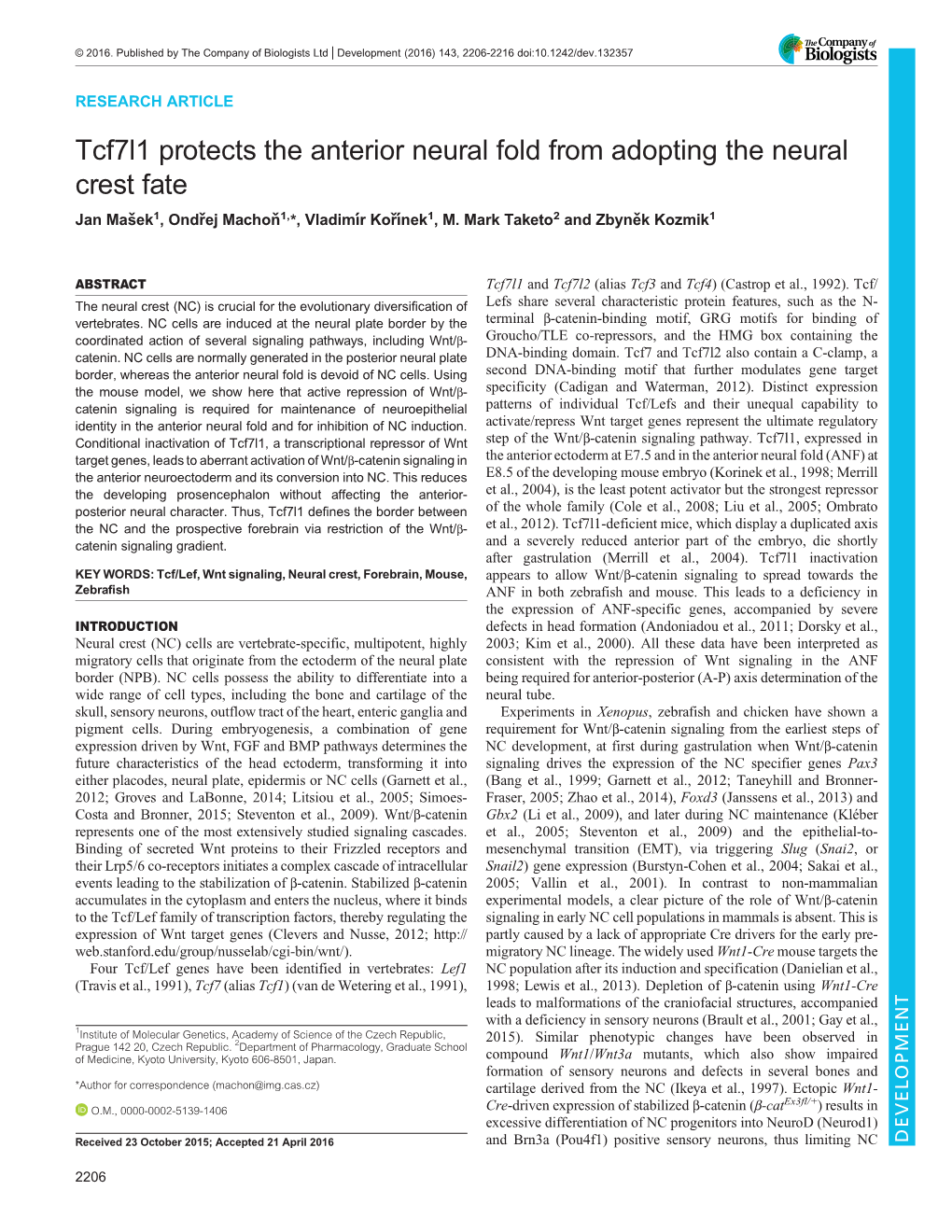 Tcf7l1 Protects the Anterior Neural Fold from Adopting the Neural Crest Fate Jan Mašek1, Ondřej Machoň1,*, Vladimıŕ Kořıneḱ 1, M