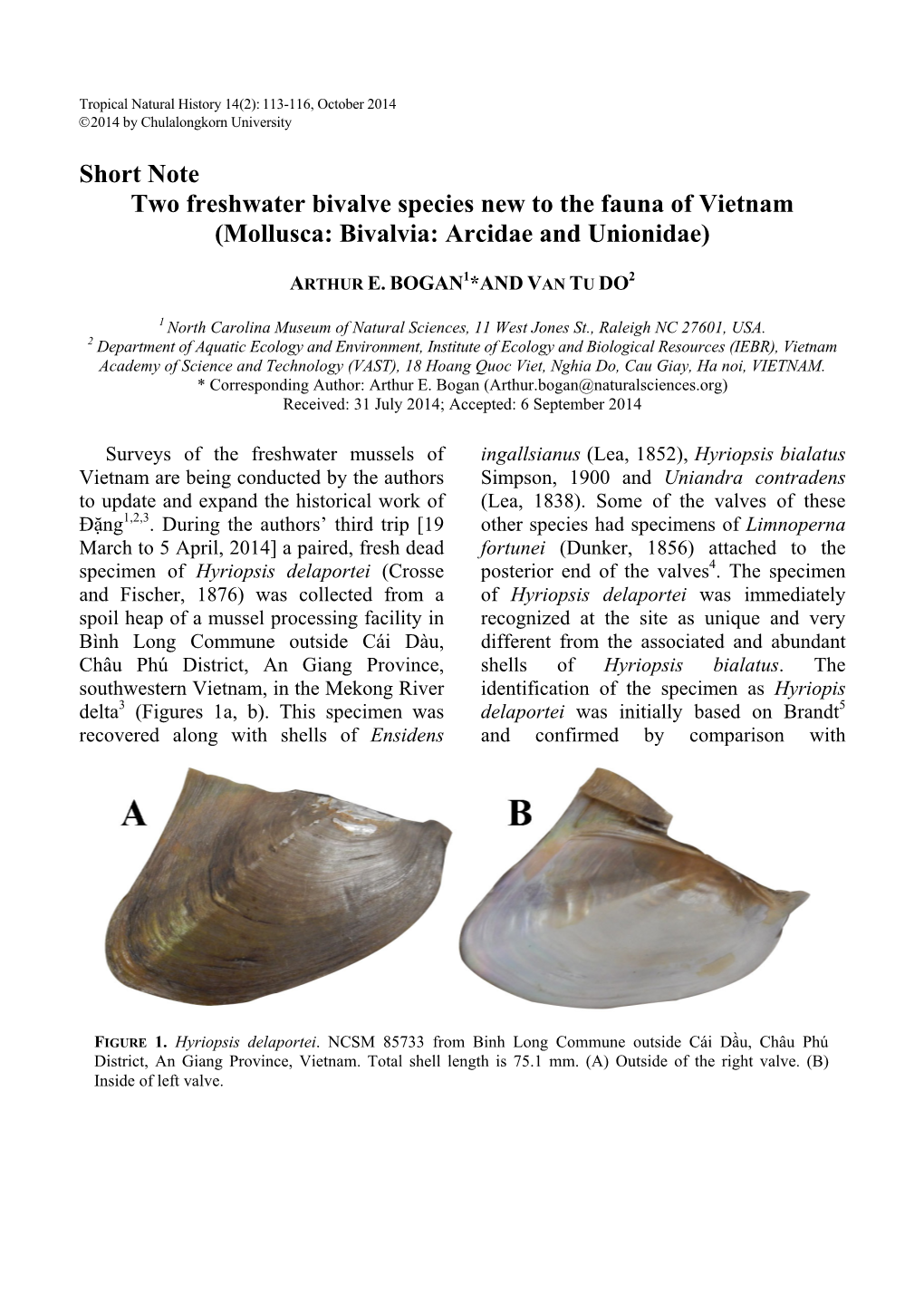 Short Note Two Freshwater Bivalve Species New to the Fauna of Vietnam (Mollusca: Bivalvia: Arcidae and Unionidae)
