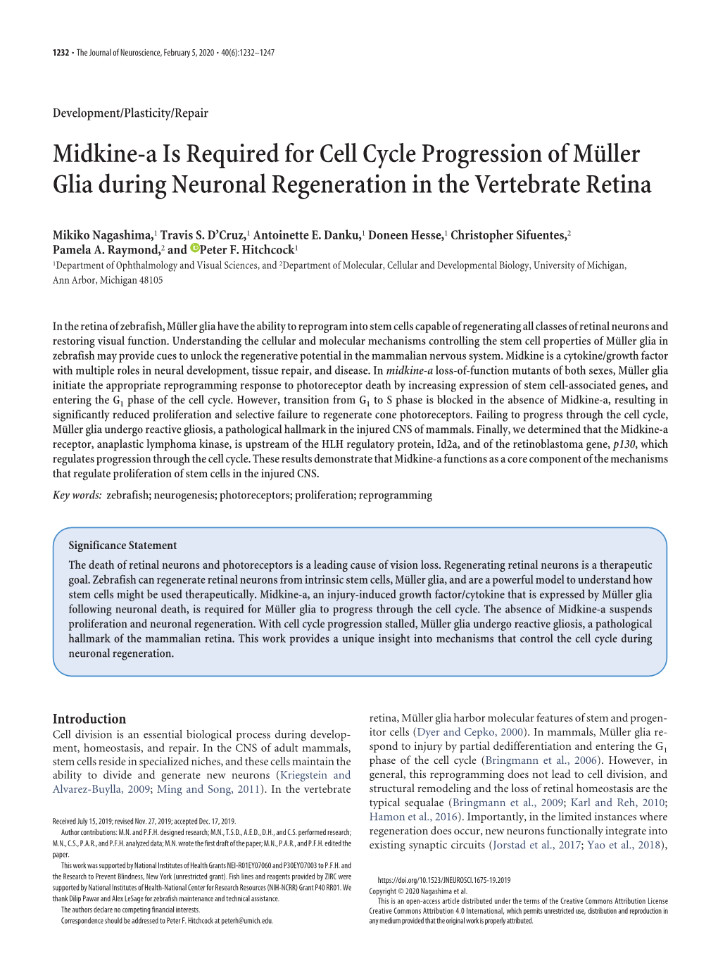 Midkine-A Is Required for Cell Cycle Progression of Müller Glia During