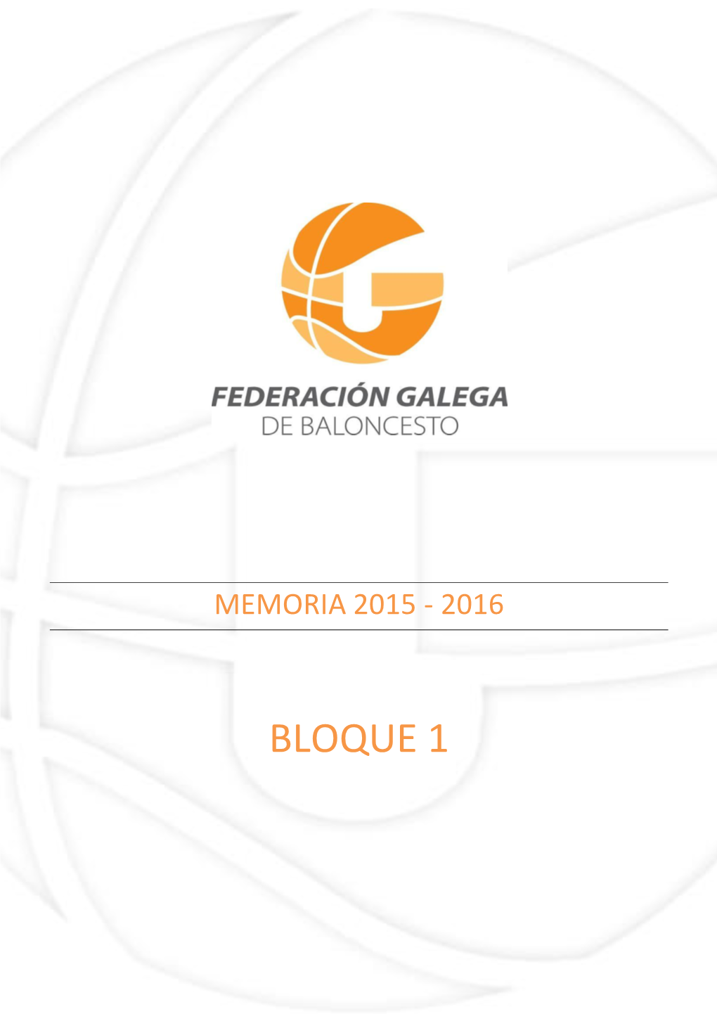 Informe FGB 2015