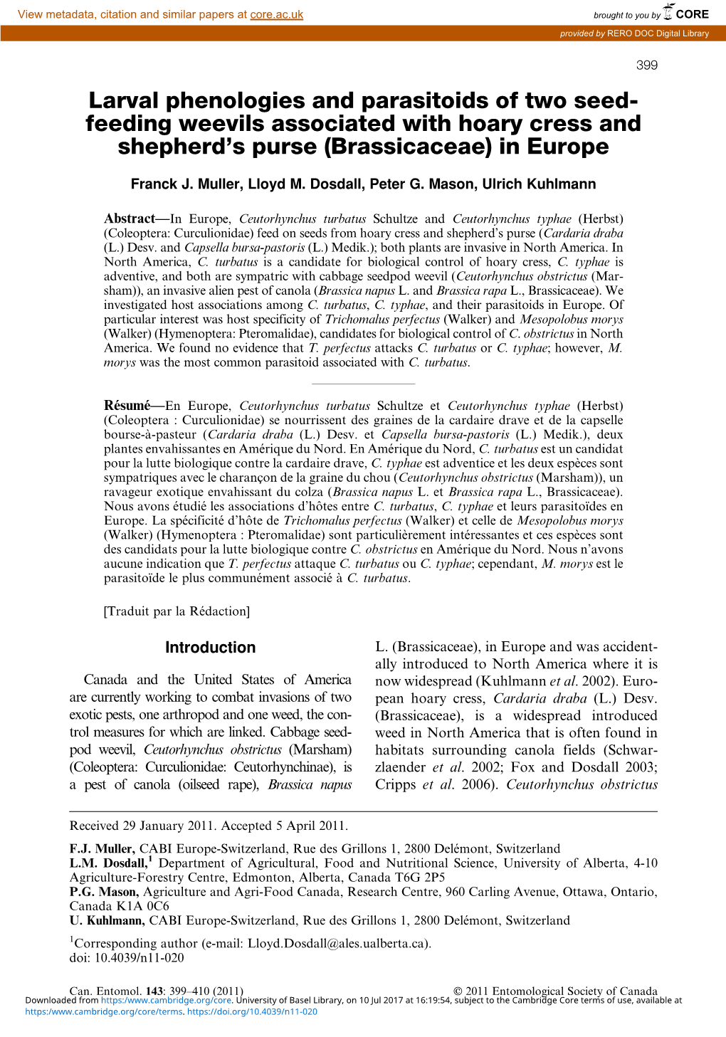 Feeding Weevils Associated with Hoary Cress and Shepherd's Purse