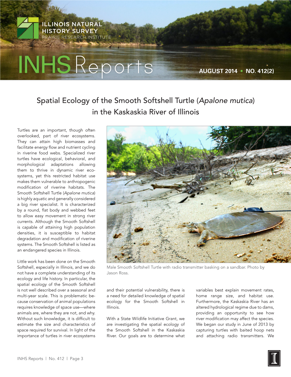 Spatial Ecology of the Smooth Softshell Turtle (Apalone Mutica) in the Kaskaskia River of Illinois