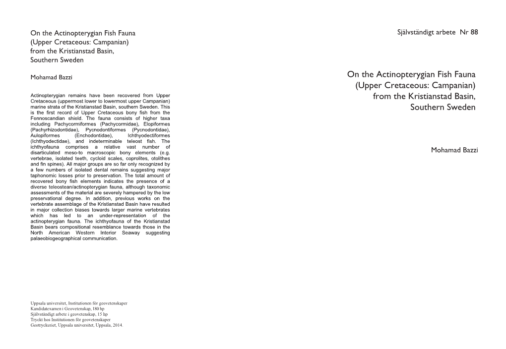 On the Actinopterygian Fish Fauna (Upper Cretaceous: Campanian) from the Kristianstad Basin, Southern Sweden