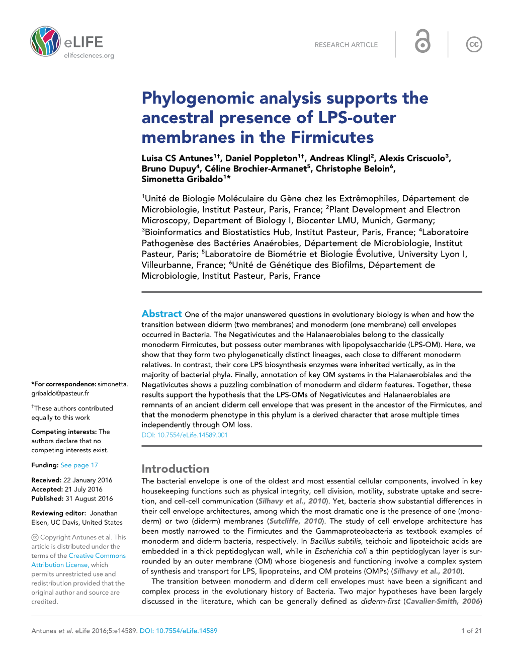 Phylogenomic Analysis Supports the Ancestral Presence of LPS-Outer