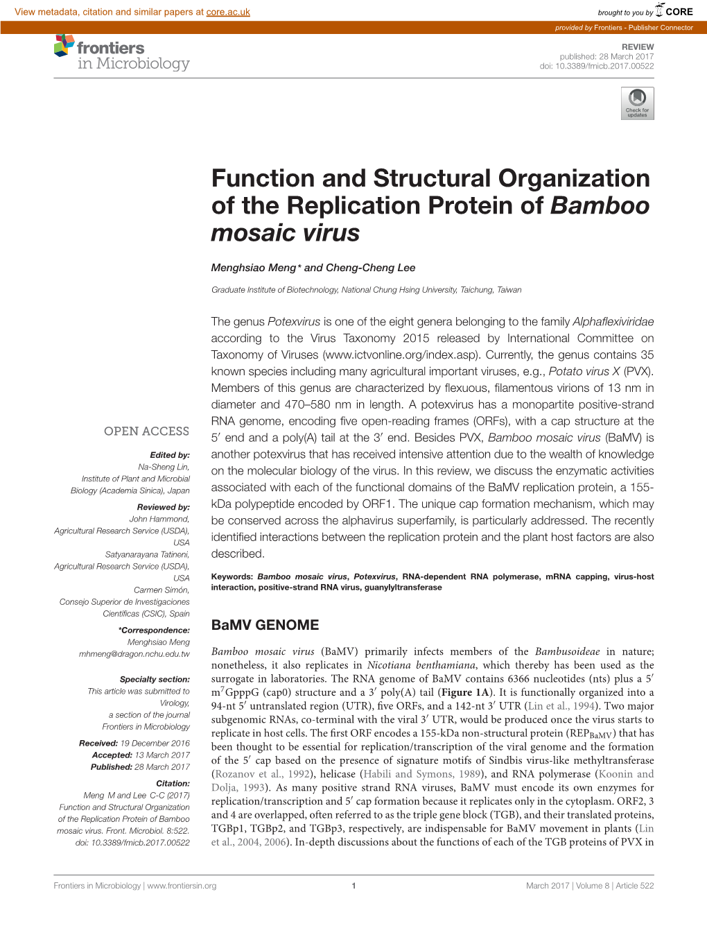 Function and Structural Organization of the Replication Protein of Bamboo Mosaic Virus