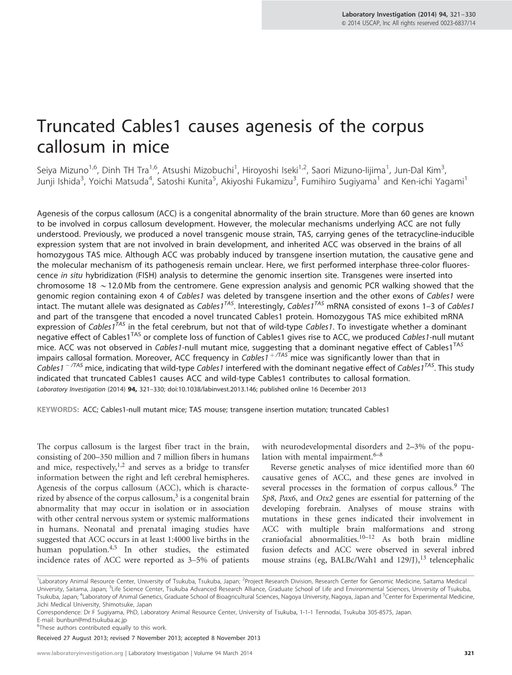 Truncated Cables1 Causes Agenesis of the Corpus Callosum in Mice