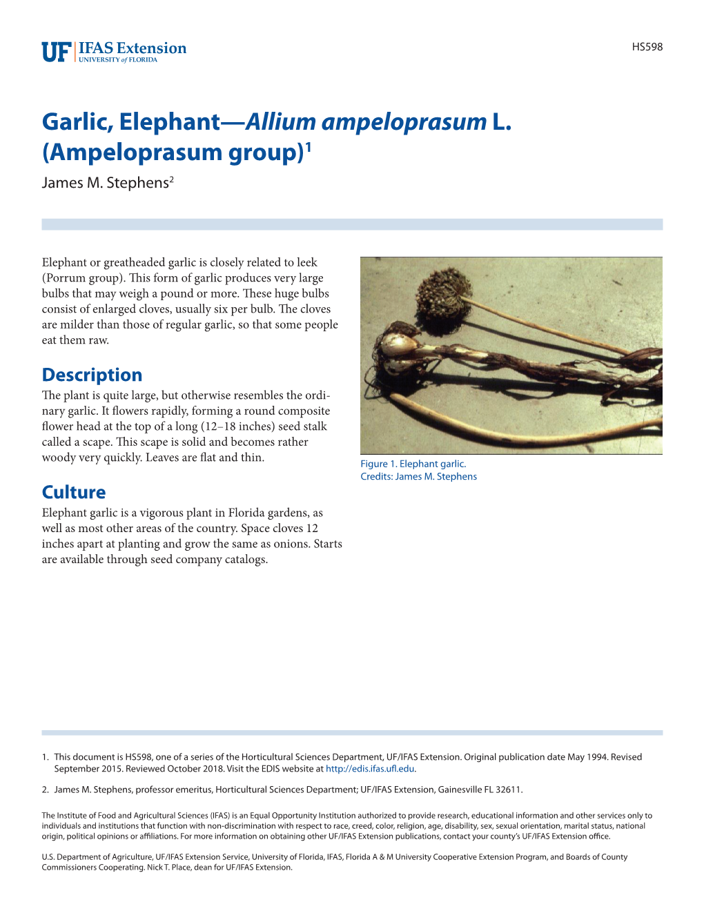 Garlic, Elephant—Allium Ampeloprasum L. (Ampeloprasum Group)1 James M