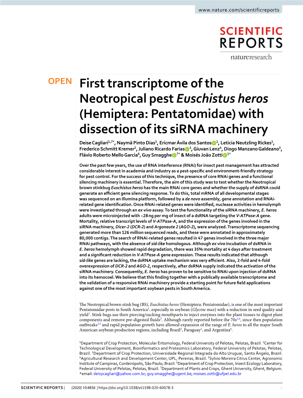 First Transcriptome of the Neotropical Pest Euschistus Heros (Hemiptera
