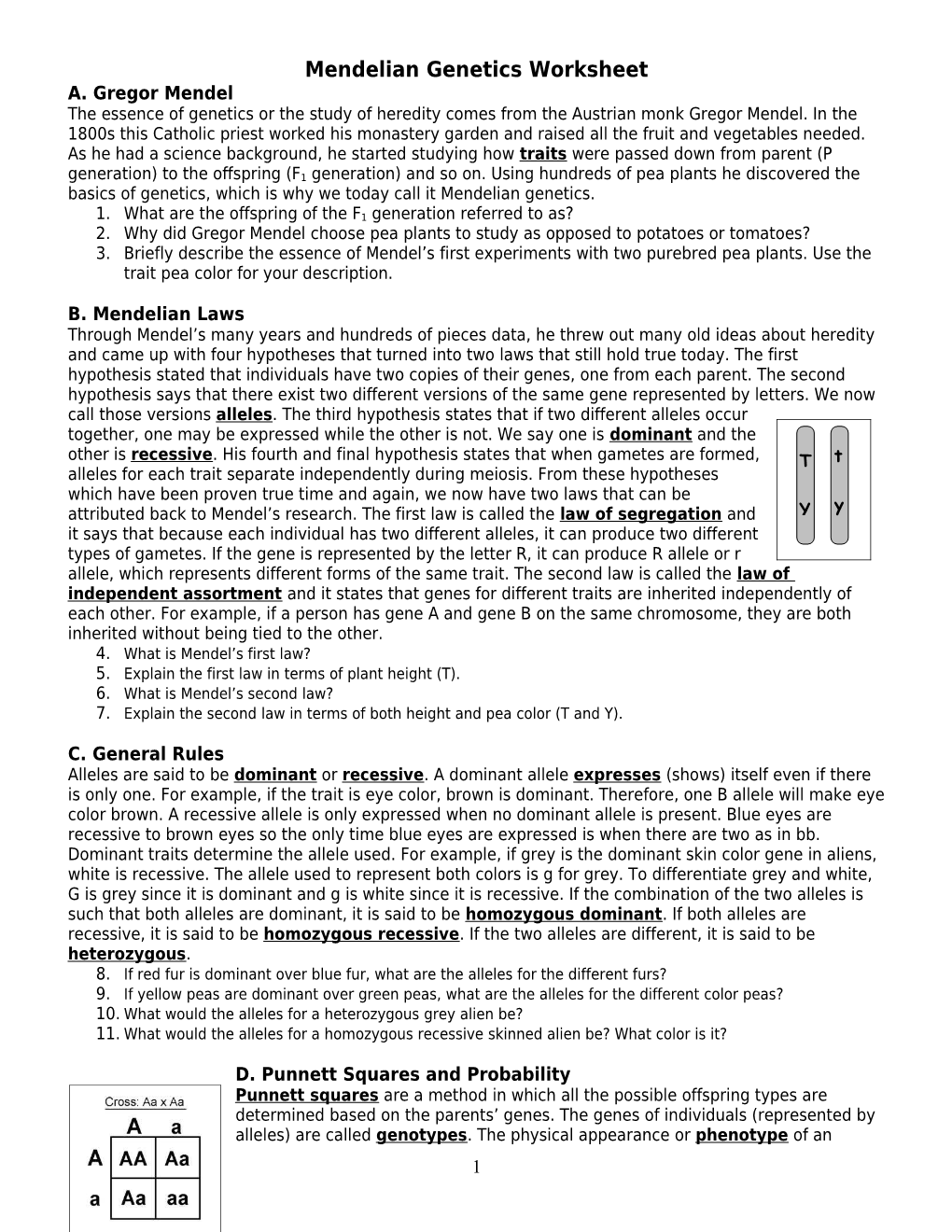 Mendelian Genetics Worksheet