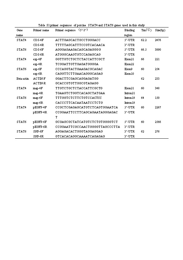 Table S1 Primer Sequences of Porcine STAT4 and STAT6 Genes Used in This Study